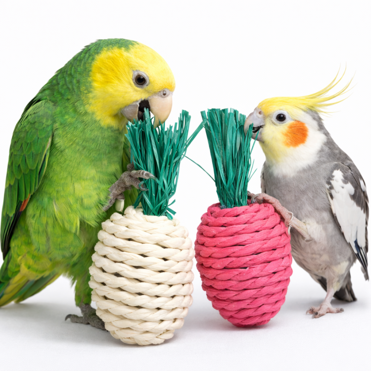 Śliczne Truskaweczki - zabawka do łapki dla dużych i średnich papug 2 szt od ParrotPlanet.pl