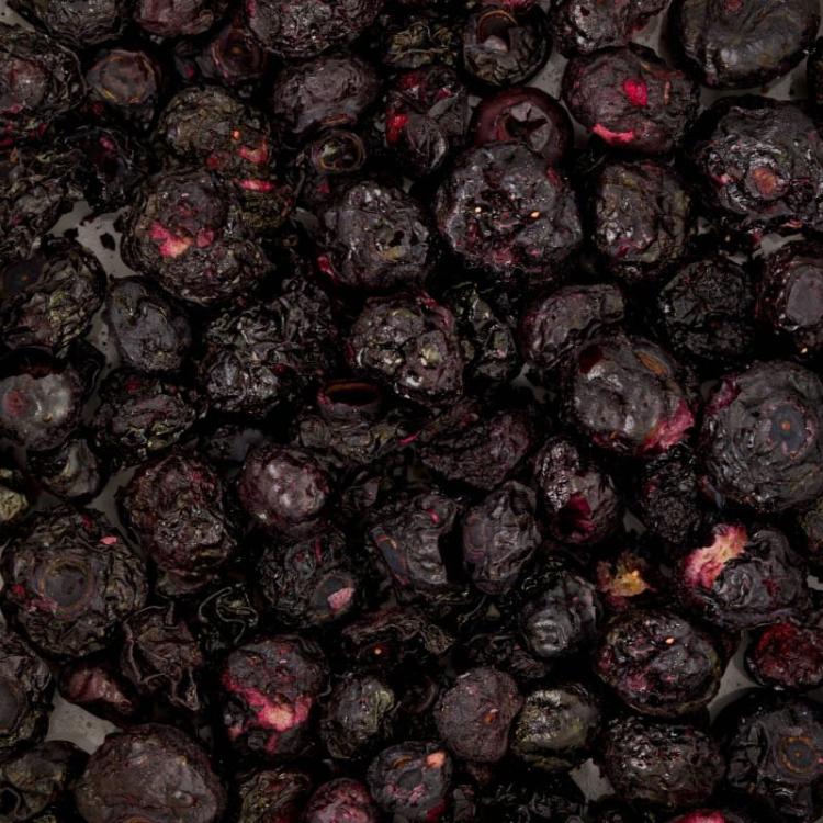 Chrupiące, liofilizowane borówki bez dodatków. 100% naturalny skład. Idealne jako nagroda i urozmaicenie diety gryzoni od ParrotPlanet.pl
