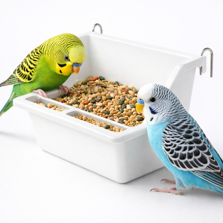 Miseczka plastikowa dla papug | Karmidło Poidło dla ptaków | 200 ml  od ParrotPlanet.pl