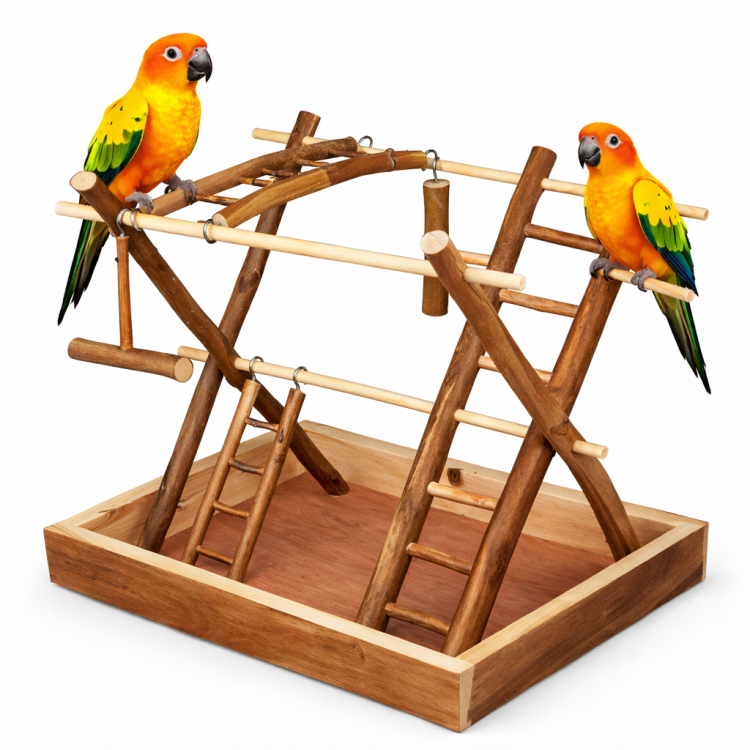 Parrot Gym - Drewniany Plac Zabaw dla papug 35x27x30 cm od ParrotPlanet.pl