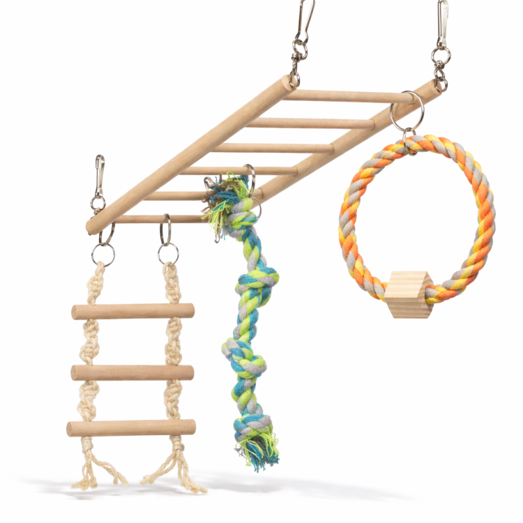 Sky Walker - Wiszący Plac Zabaw - dla małych i średnich papug od ParrotPlanet.pl