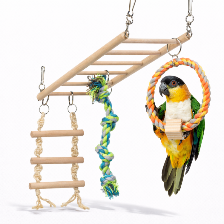 Sky Walker - Wiszący Plac Zabaw - dla małych i średnich papug od ParrotPlanet.pl