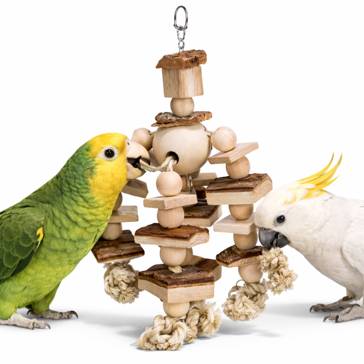 Kolorowy Sznur z Koralikami – Radosna Zabawka dla papug od ParrotPlanet.pl