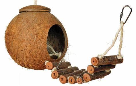 Kokosowy Domek z Drabinką – naturalna zabawka i kryjówka dla gryzoni 50 × 14 cm od ParrotPlanet.pl