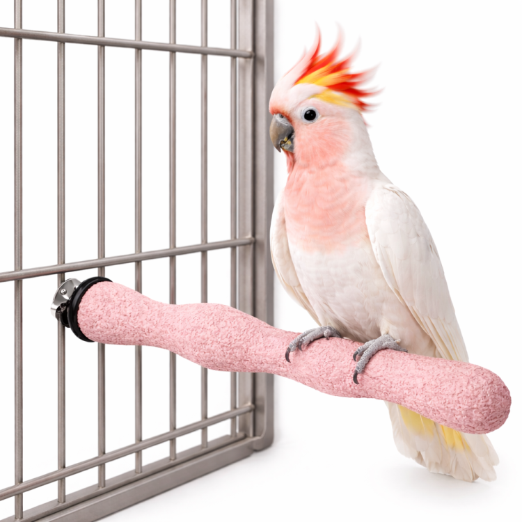 Żerdź Terapeutyczna Mani Pedi - dla średnich papug rozm. M/L od ParrotPlanet.pl