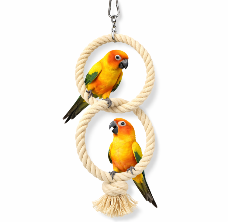 Huśtawkowa Obręcz - dla małych i średnich papug od ParrotPlanet.pl