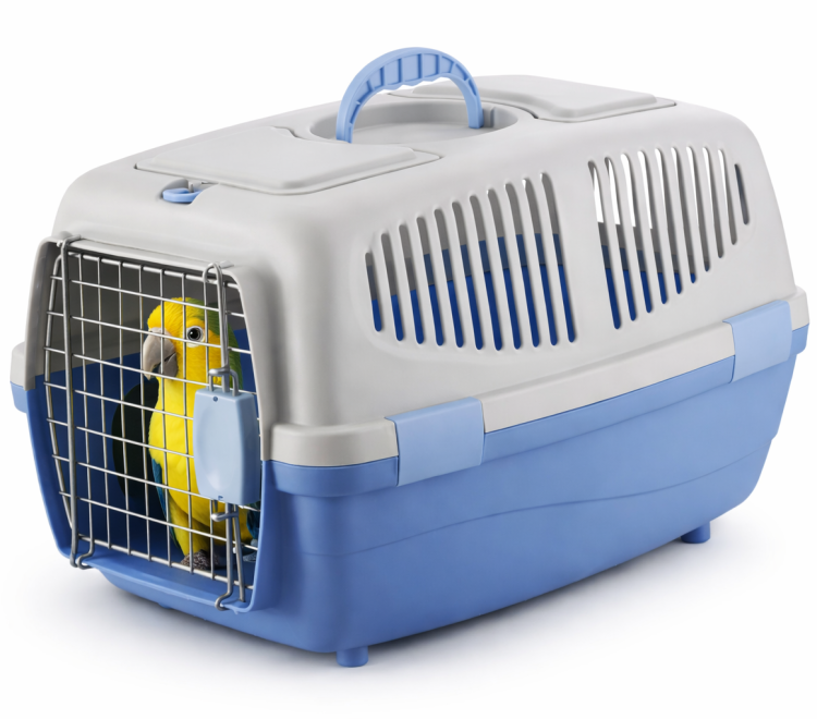 Transporterka szaro/niebieska dla małych średnich i większych papug od ParrotPlanet.pl