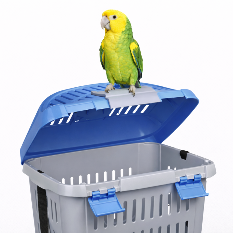 Transporterka szaro/niebieska dla małych średnich i większych papug  od ParrotPlanet.pl