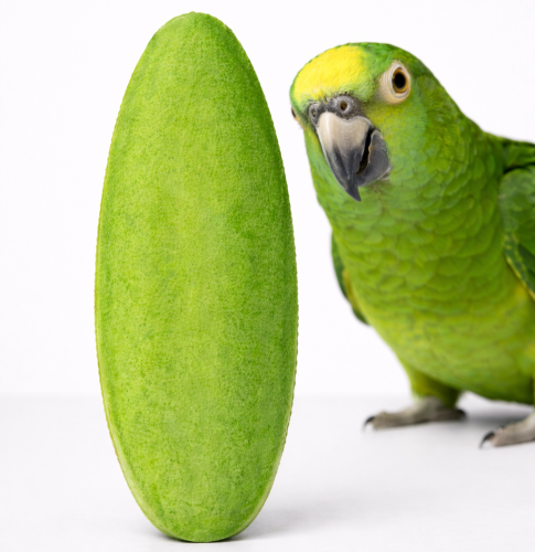 Sepia cytrynowa dla papug i ptaków egzotycznych od ParrotPlanet.pl