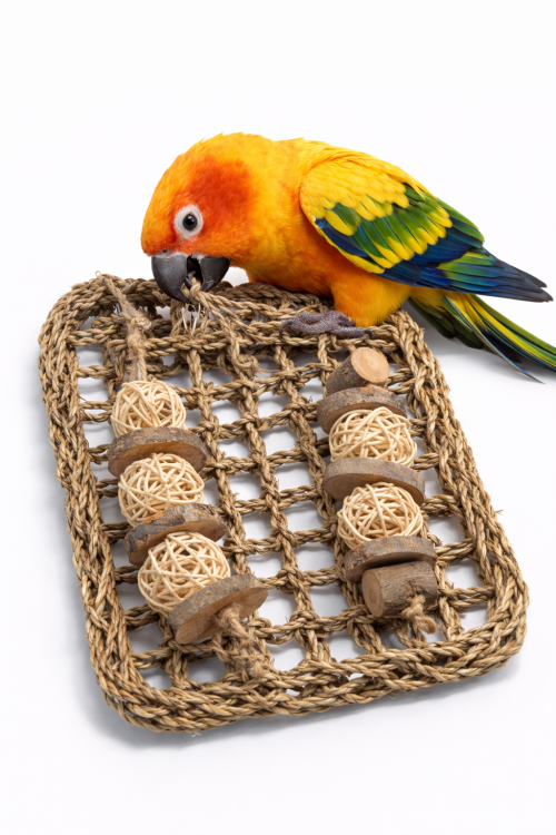 Mata Ratanowe Szaleństwo | Zabawka do Żerowania |Rozrywka Dla Wszystkich Papug  od ParrotPlanet.pl