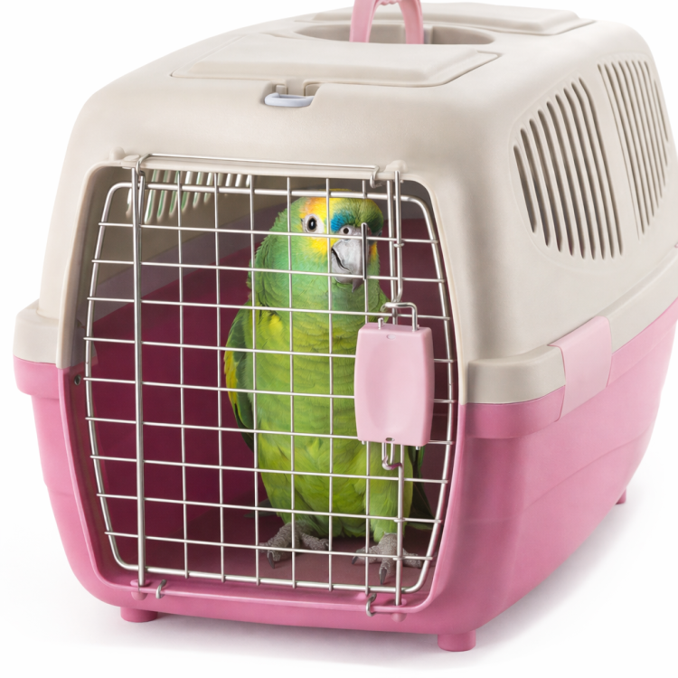 Transporterka szaro/różowa dla małych średnich i większych papug  od ParrotPlanet.pl