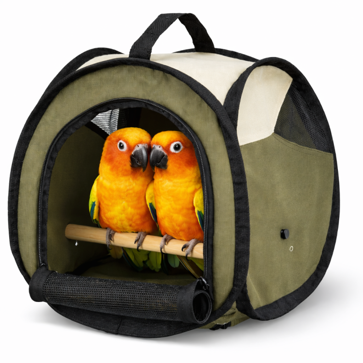 Plecak do krótkiego transportu papug- zielony od ParrotPlanet.pl
