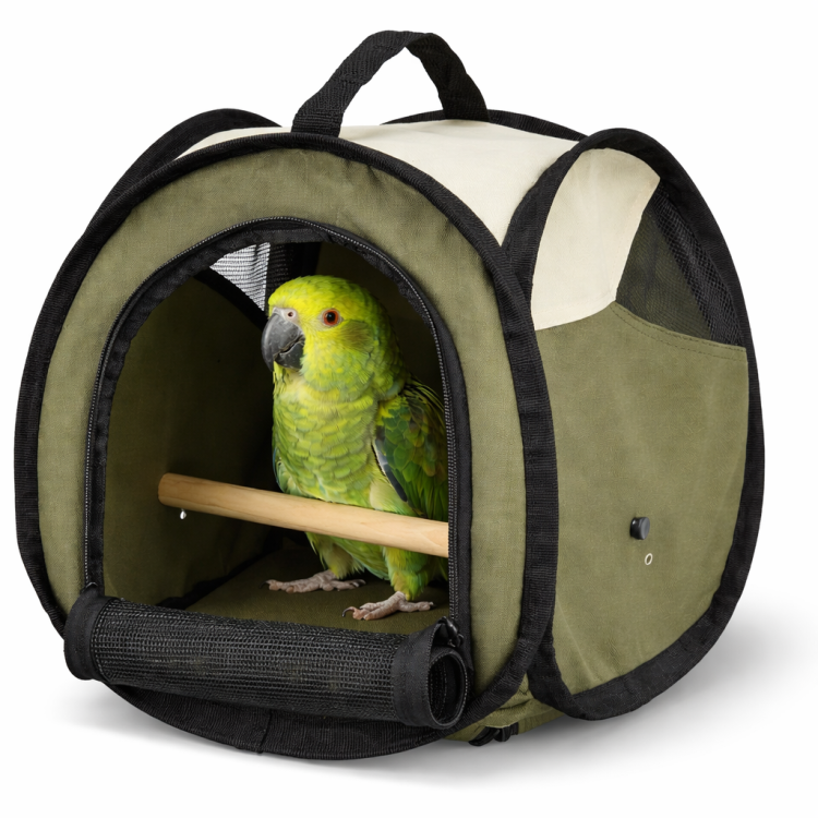 Plecak do krótkiego transportu papug- zielony od ParrotPlanet.pl