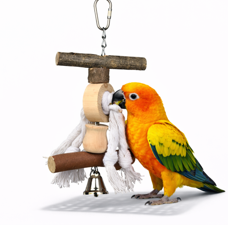 Idealna Zabawka - zabawka dla wszystkich papug od ParrotPlanet.pl