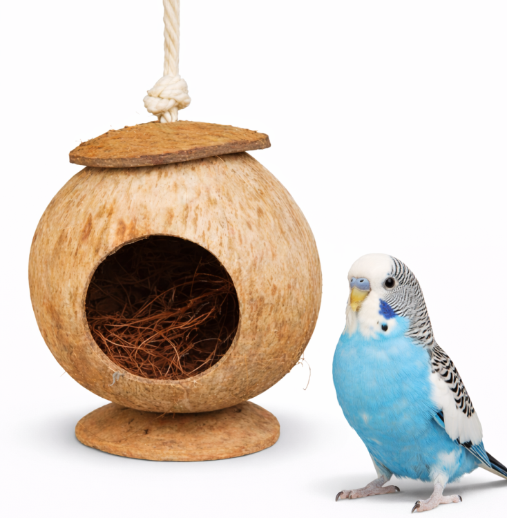 Domek na sznurku - zabawka dla dużych i małych papug od ParrotPlanet.pl