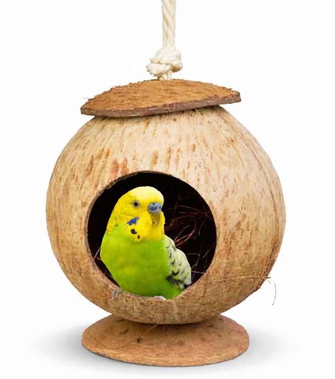 Domek na sznurku - zabawka dla dużych i małych papug od ParrotPlanet.pl