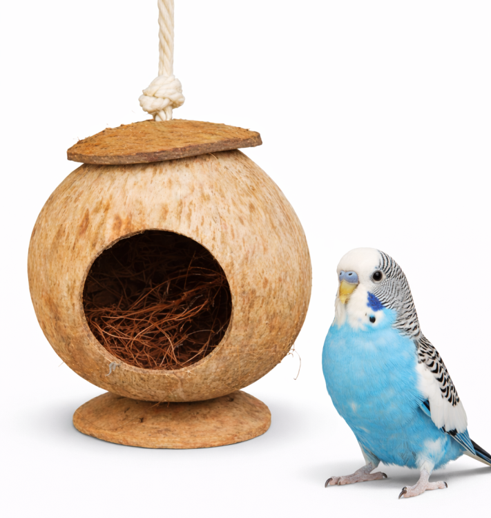 Domek na sznurku - zabawka dla dużych i małych papug od ParrotPlanet.pl