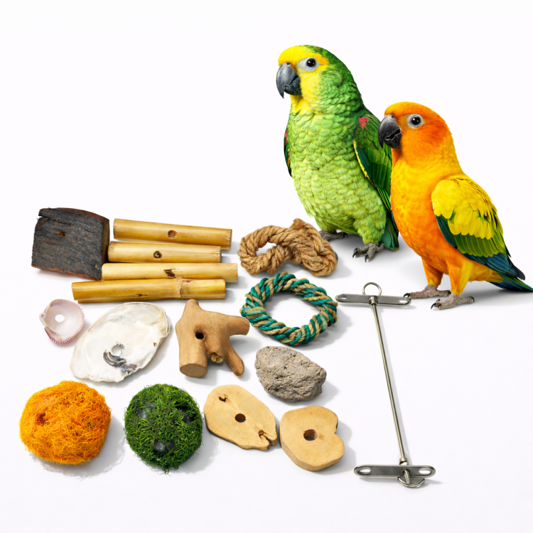 DIY SET - do samodzielnego stworzenia zabawki | dla wszystkich papug od ParrotPlanet.pl