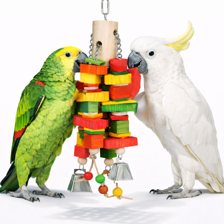 Tronco Extra Large – Drewniane Wyzwanie dla Największych Papug  od ParrotPlanet.pl