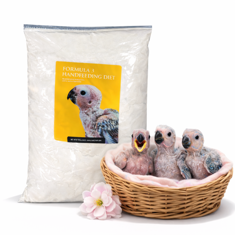 RoudyBush Formula 3 6,8 kg - pokarm do ręcznego karmienia piskląt od ParrotPlanet.pl