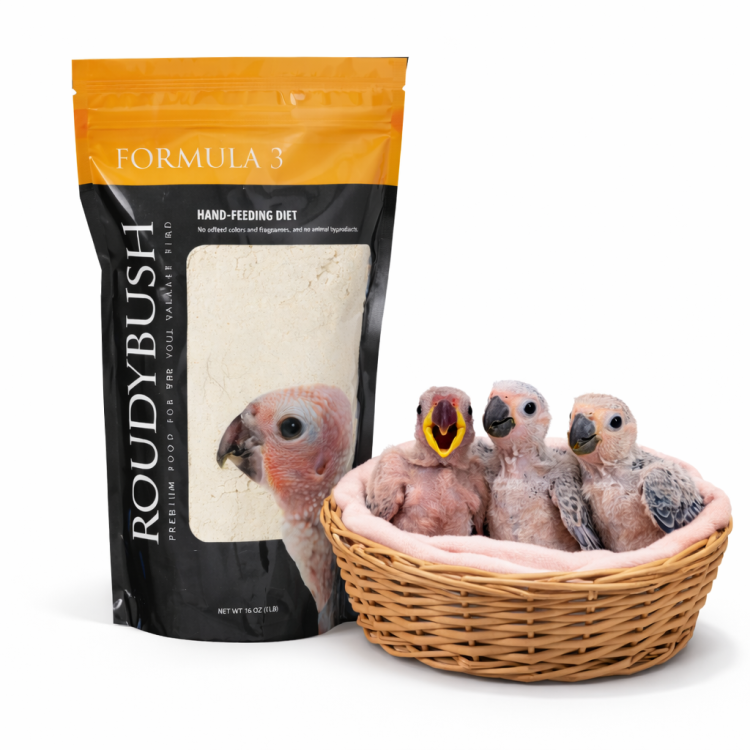 RoudyBush Formula 3 680g - pokarm do ręcznego karmienia piskląt od ParrotPlanet.pl