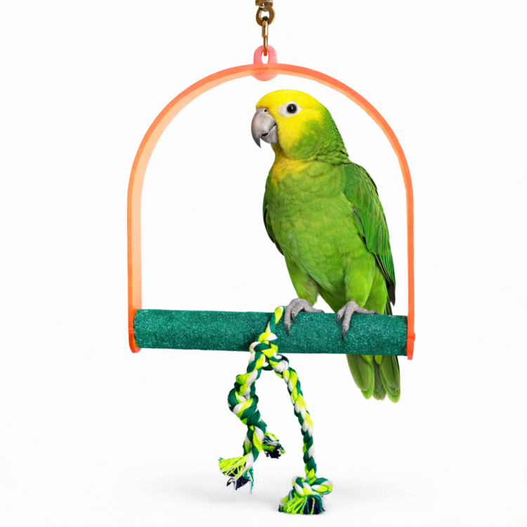 Large Swing | Huśtawka akrylowa 3w1 | dbałość o dziobek i pazurki | dla Średnich i Dużych Papug od ParrotPlanet.pl