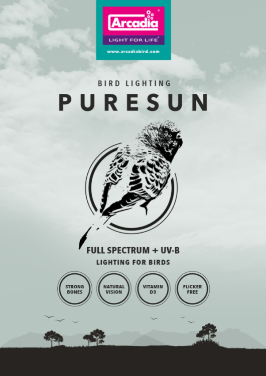 Arcadia Puresun Mini - Zestaw oświetleniowy - lampa- dla papug od ParrotPlanet.pl