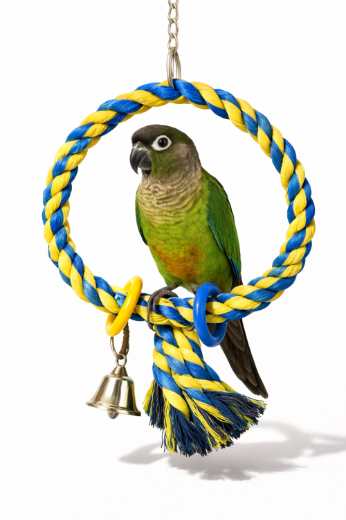 Mini Power Ring - Huśtawka Koło - dla mniejszych papug od ParrotPlanet.pl