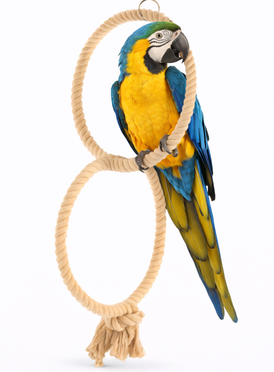 Planeta Papug II - Huśtawka dla Większych i Średnich Papug od ParrotPlanet.pl