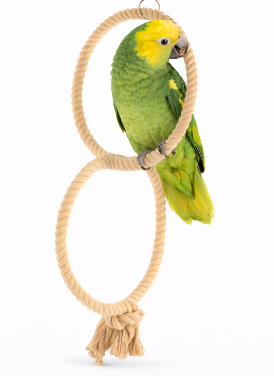 Planeta Papug II - Huśtawka dla Większych i Średnich Papug od ParrotPlanet.pl