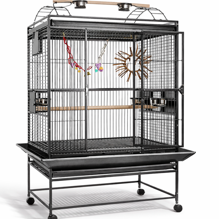 Finca Gym Top III - klatka dla średnich i dużych papug od ParrotPlanet.pl