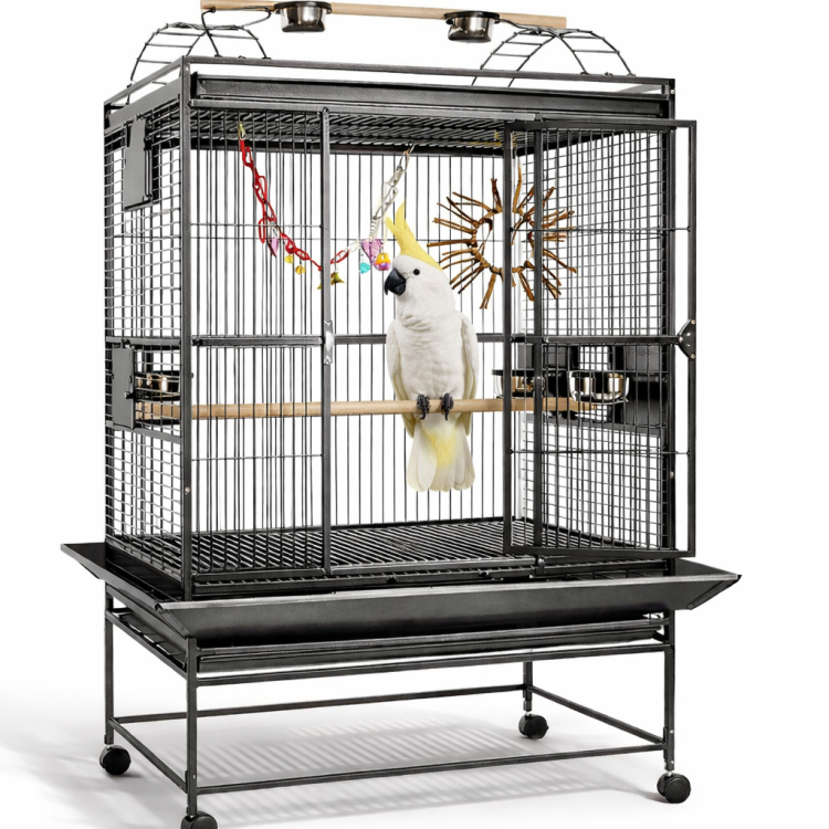 Finca Gym Top III - klatka dla średnich i dużych papug od ParrotPlanet.pl