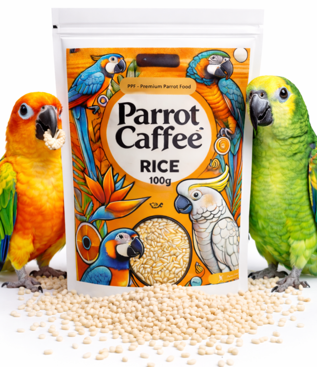 PARROT CAFFEE - Rice -  dla wszystkich papug 100g od ParrotPlanet.pl