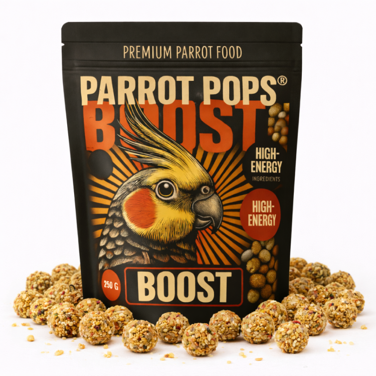 Parrot Pops- Boost Hi Energy - Small - Pokarm pełen energii kształcie kuleczek dla średnich i małych papug 250g od ParrotPlanet.pl