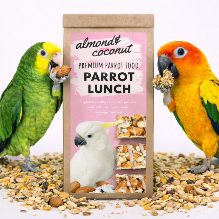 ChatGPT Image 15 lut 2026, 19_37_21.png