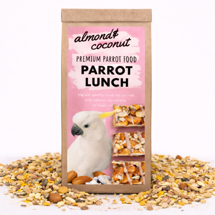 ChatGPT Image 15 lut 2026, 19_38_29.png