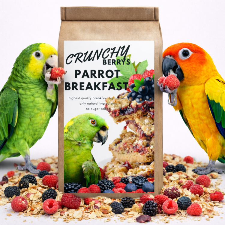Crunchy Berry Parrot Breakfast - Papuzie danie śniadaniowe, lub obiadowe na ciepło lub zimno dla wszystkich papug 100g od ParrotPlanet.pl