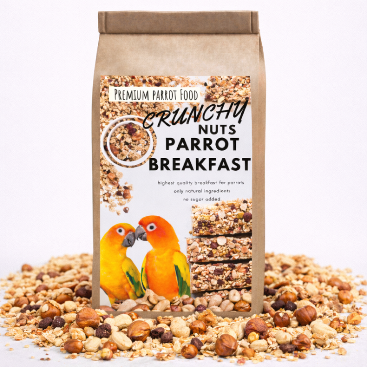 ChatGPT Image 16 lut 2026, 07_05_20.png