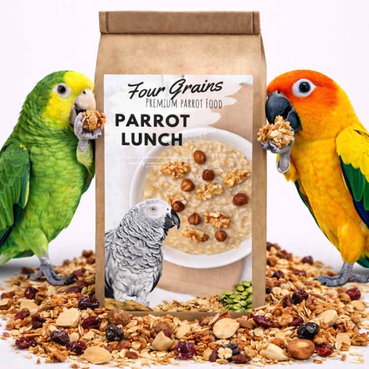 Sucharki Orkiszowe Parrot Breakfast - Papuzie danie śniadaniowe, lub obiadowe na ciepło lub zimno dla wszystkich papug 50g od ParrotPlanet.pl