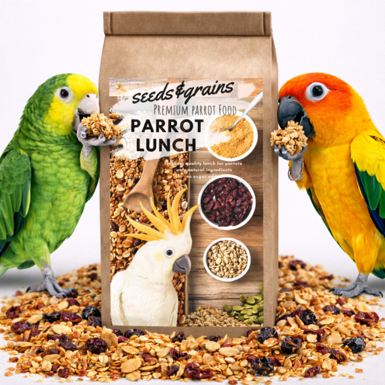 Seeds & Grains Parrot Lunch | Danie obiadowe lub śniadaniowe dla papug | Szybkie, zdrowe i pyszne | Na ciepło lub Zimno od ParrotPlanet.pl