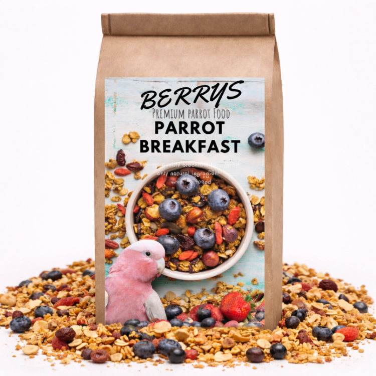 HOT Berry Parrot Breakfast - Papuzie danie śniadaniowe, lub obiadowe na ciepło dla wszystkich papug 150g od ParrotPlanet.pl