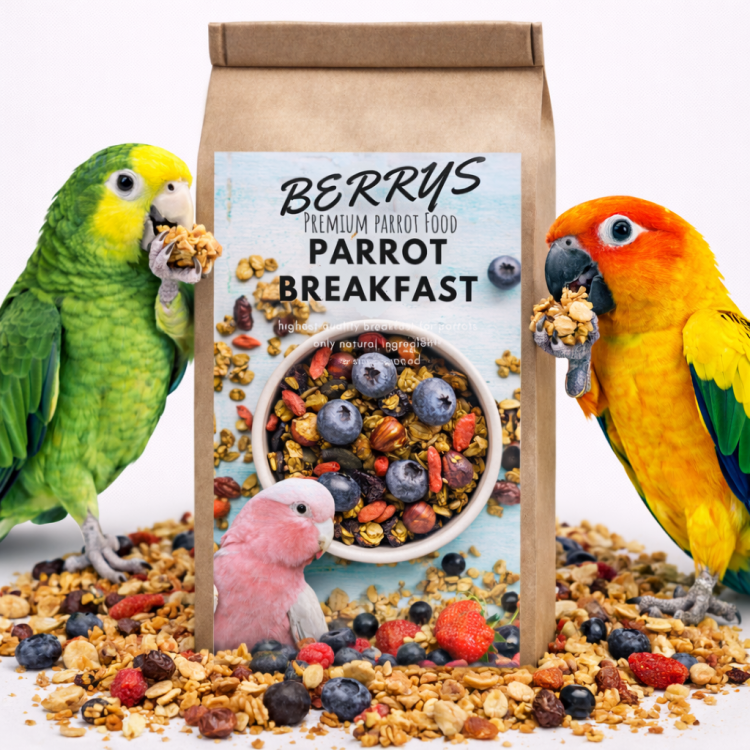 HOT Berry Parrot Breakfast - Papuzie danie śniadaniowe, lub obiadowe na ciepło dla wszystkich papug 150g od ParrotPlanet.pl