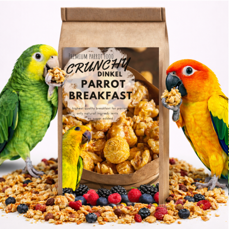 Crunchy Dinkel Parrot Breakfast - Papuzie danie śniadaniowe, lub obiadowe na ciepło lub zimno dla wszystkich papug 100g od ParrotPlanet.pl