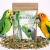 Premium Parrot Food | Ekologiczna Brzoza | Liście brzozy dla wszystkich papug od ParrotPlanet.pl