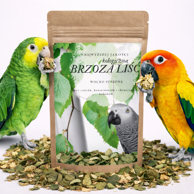 Premium Parrot Food | Ekologiczna Brzoza | Liście brzozy dla wszystkich papug od ParrotPlanet.pl