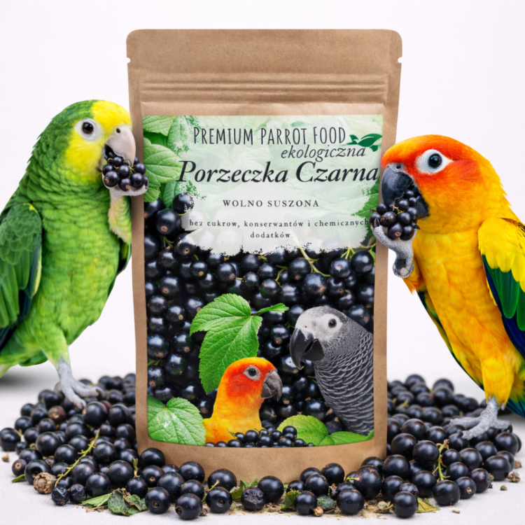 Premium Parrot Food - Ekologiczna Czarna Porzeczka - dla wszystkich papug 100g od ParrotPlanet.pl