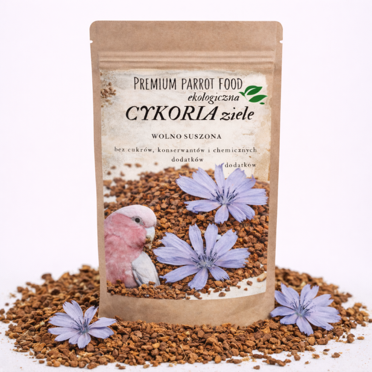 Premium Parrot Food - Ekologiczna Cykoria ziele -dla wszystkich papug 50g od ParrotPlanet.pl