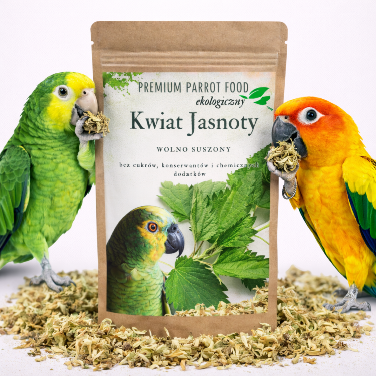 Ekologiczny, Chrupiący Kwiat Jasnoty| Dodatek do pokarmu | Zdrowa przekąska dla wszystkich papug 25g od ParrotPlanet.pl