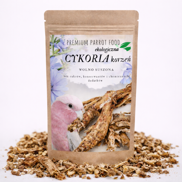 Premium Parrot Food | Ekologiczna Cykoria korzeń |Dodatek do Pokarmu dla wszystkich papug 50g od ParrotPlanet.pl