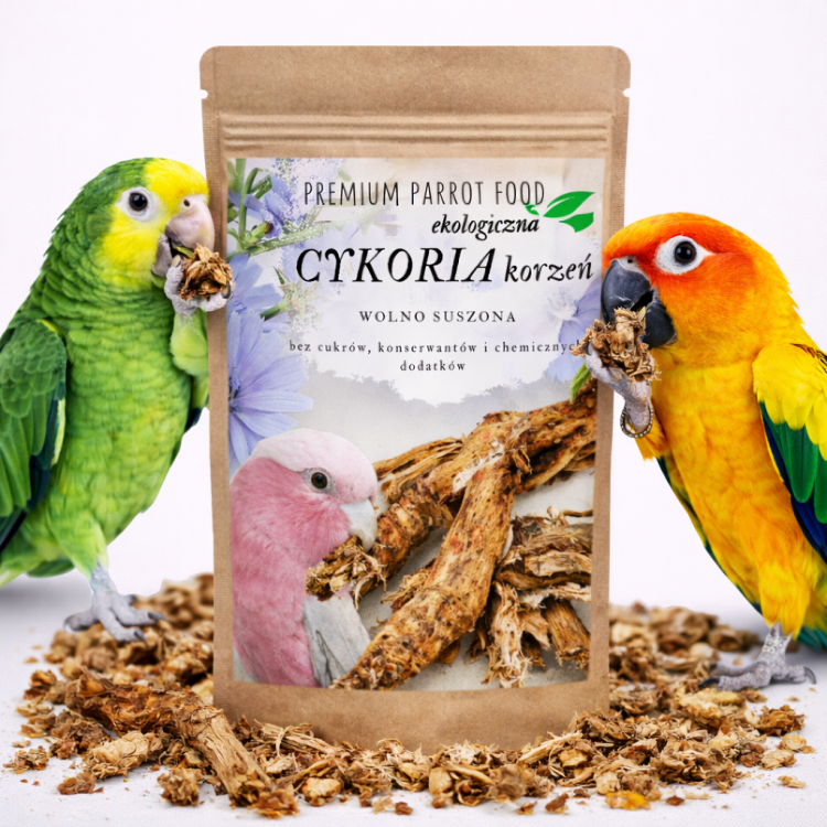Premium Parrot Food | Ekologiczna Cykoria korzeń |Dodatek do Pokarmu dla wszystkich papug 50g od ParrotPlanet.pl